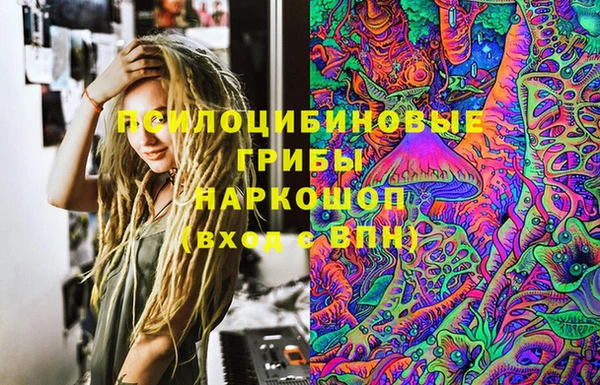 ГАЛЛЮЦИНОГЕННЫЕ ГРИБЫ Костерёво