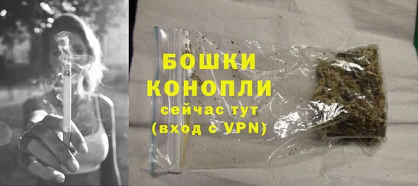 ГАЛЛЮЦИНОГЕННЫЕ ГРИБЫ Костерёво