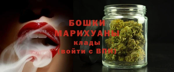 ГАЛЛЮЦИНОГЕННЫЕ ГРИБЫ Костерёво