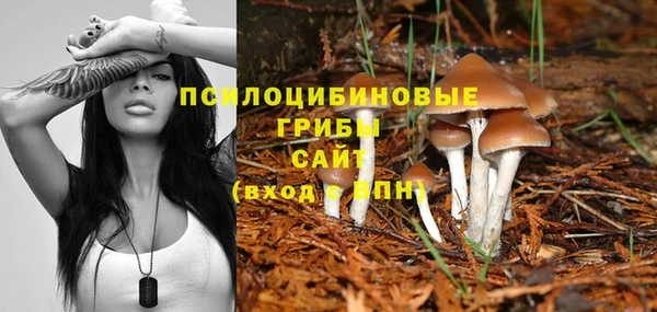 ПСИЛОЦИБИНОВЫЕ ГРИБЫ Куйбышев