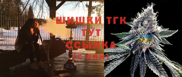 ГАЛЛЮЦИНОГЕННЫЕ ГРИБЫ Костерёво