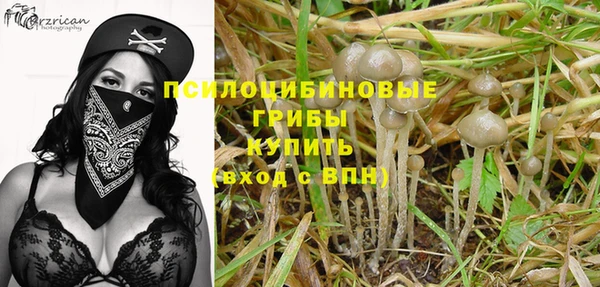 ПСИЛОЦИБИНОВЫЕ ГРИБЫ Куйбышев