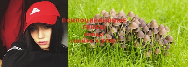 ГАЛЛЮЦИНОГЕННЫЕ ГРИБЫ Костерёво